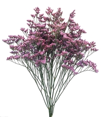 Lim Piuma Sky 50cm 10gram